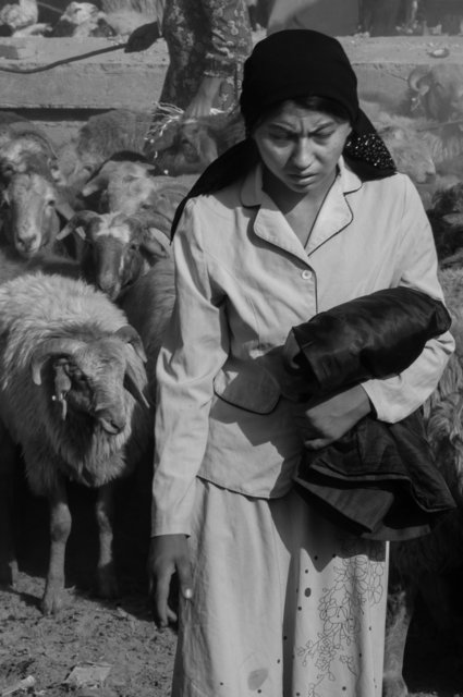 The Uyghurs, Western China