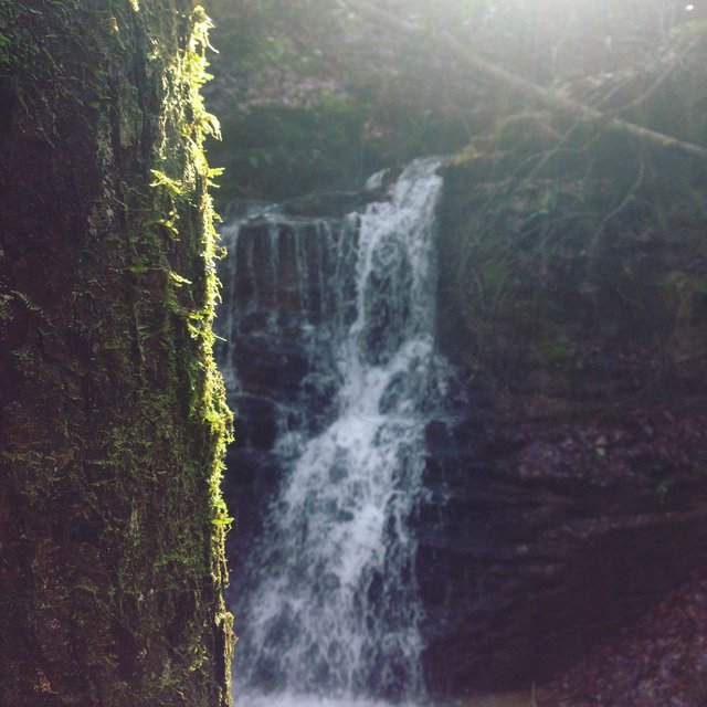 Photo 12-26-15, 1 19 32 PM (1).jpg