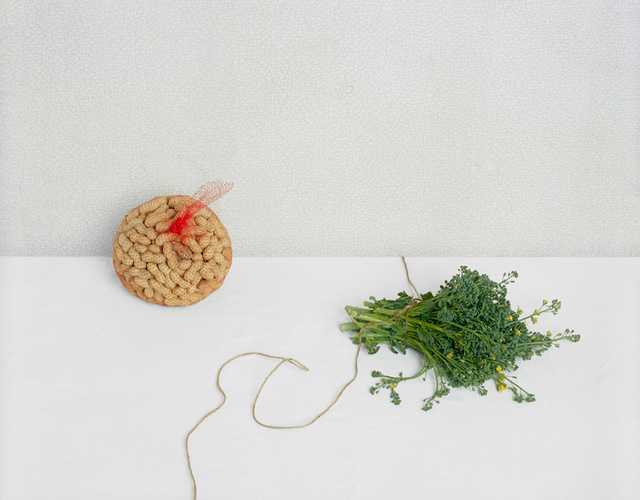 Peanuts and Broccoli, c 2010