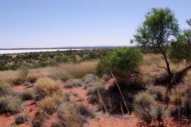 Red Centre Salt Lake P (1) VB.JPG