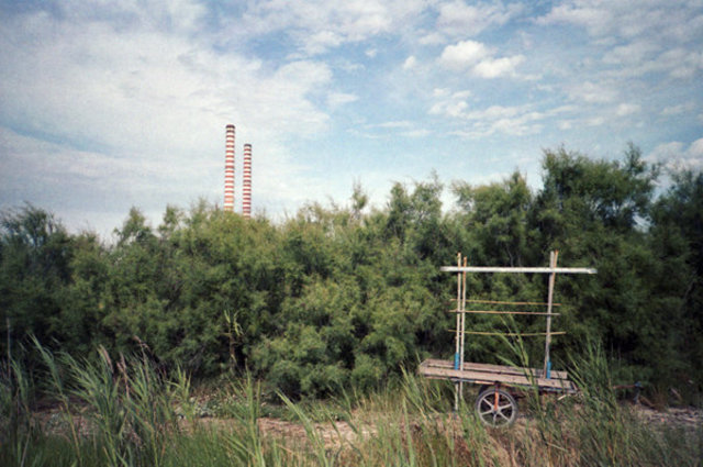tds carretto-wb.jpg