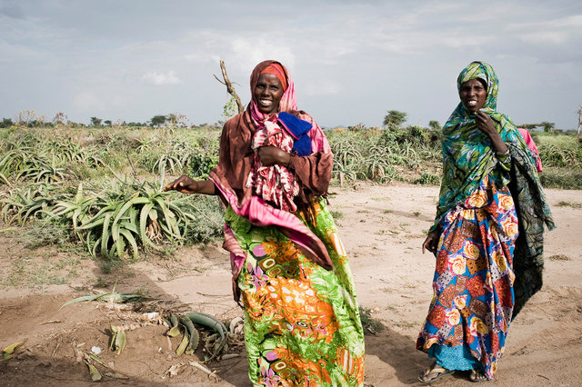 Somali Region