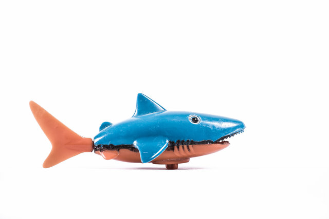 Le requin.jpg