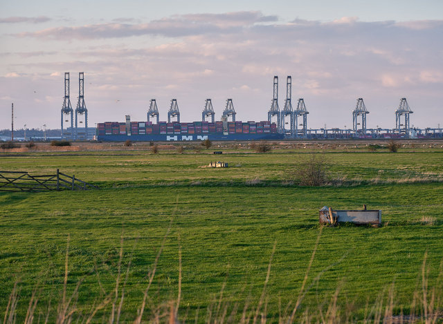 London Gateway 24 Mar 24 "Penang Bridge" (HMM) Oslo