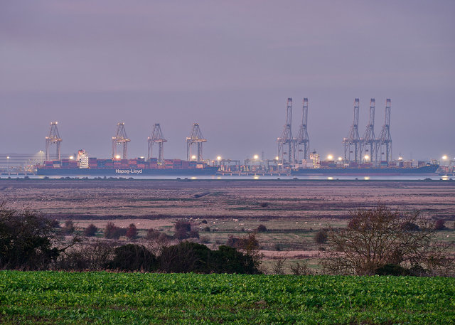 London Gateway Port from Cliffe