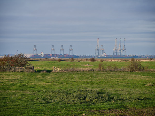 London gateway Port from Cliffe