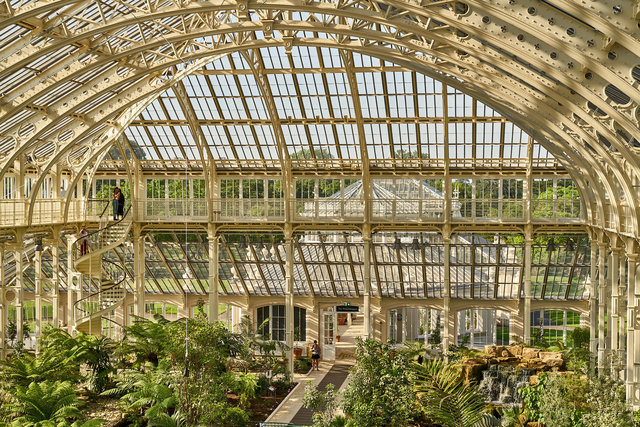 DSC04388 Temperate House web.jpg