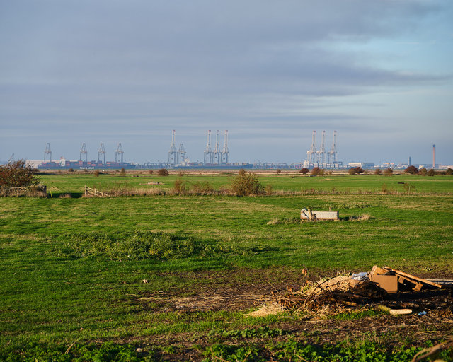 London Gateway Port from Cliffe
