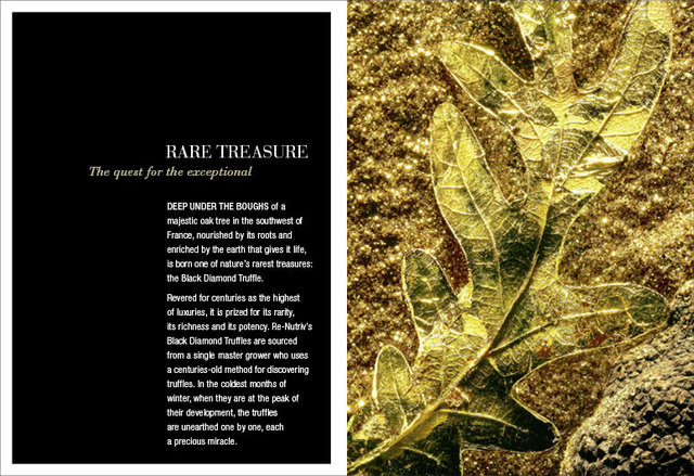 EL6687-023 RN Diamond (Global) Book3.png