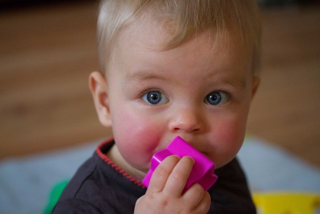 Fenna 22dec12-23.jpg