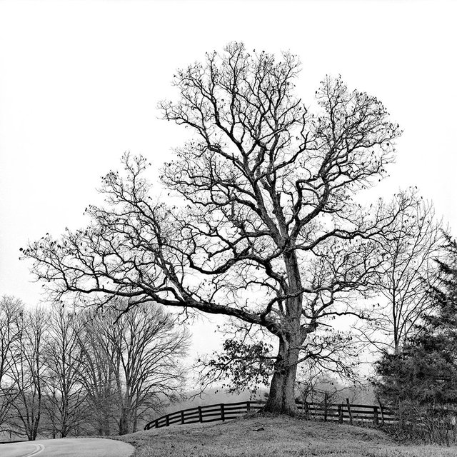 Harper's Ferry, KY