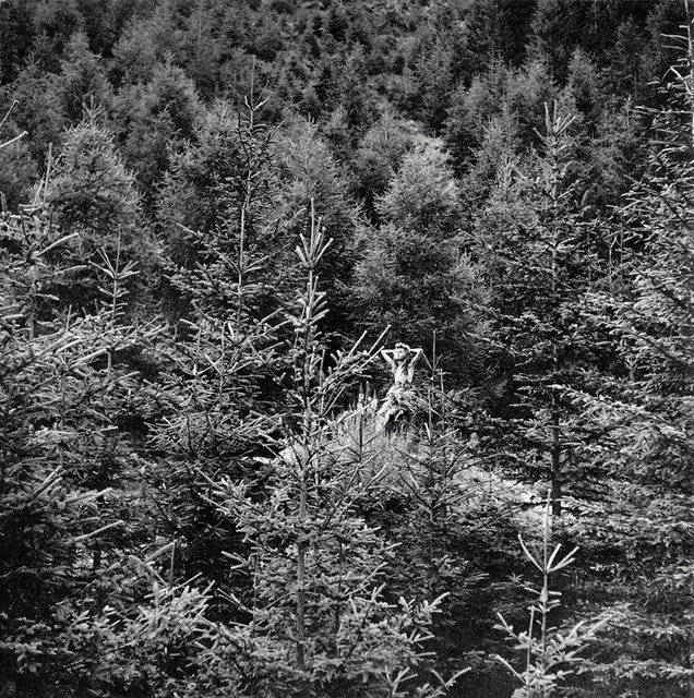Untitled from the series Droom in het Woud © Ata Kandó