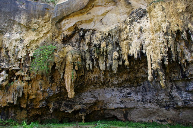 Loch Ard Gorge (3) VB.JPG