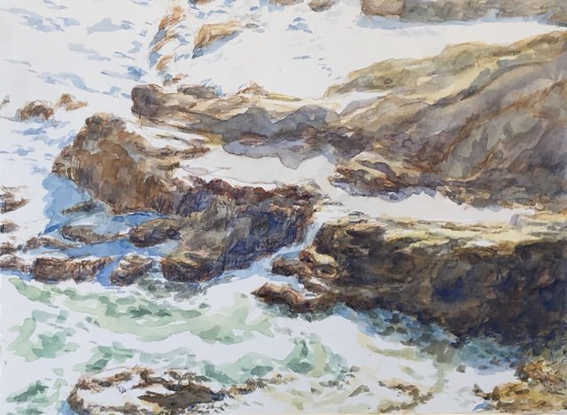 Seal Refuge I