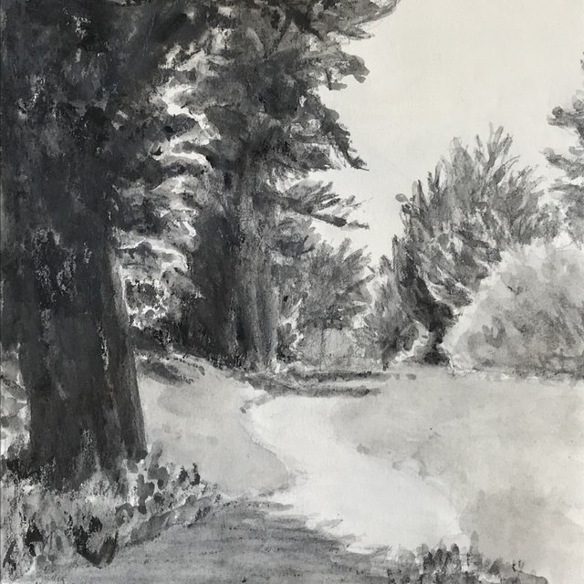 monochromatic sea ranch path.jpg