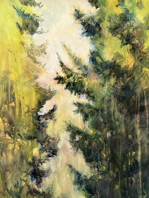 Vashon: Encounter