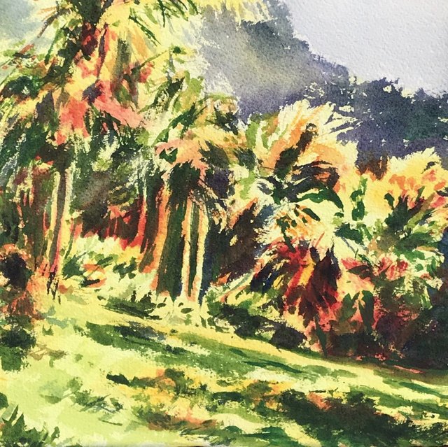 palm tree grove.jpg