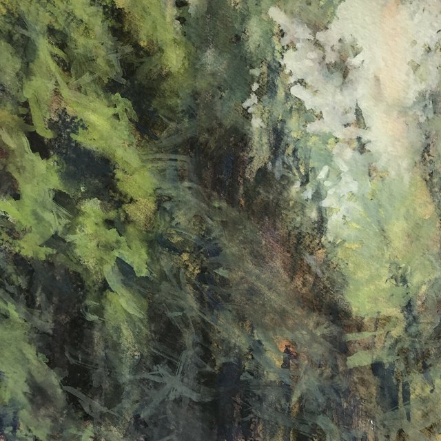 Breathing Now on Planet Earth: Forest Canopy