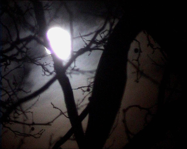 Nan Hoover La Luna 2002 (1 of 2)