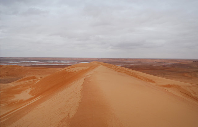 DSC_0301.jpg