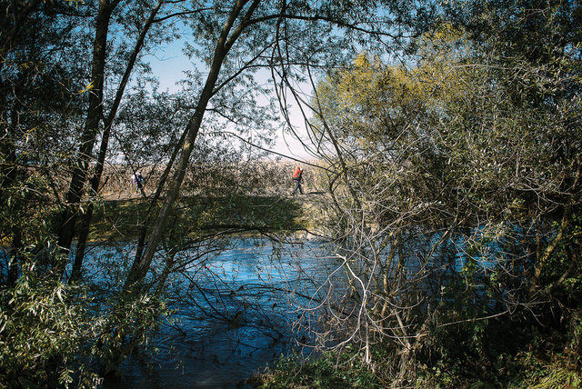 _DSC9057.jpg