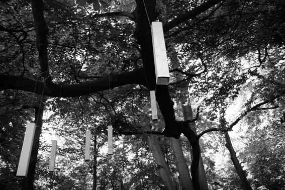 2008 - View point, Point of View