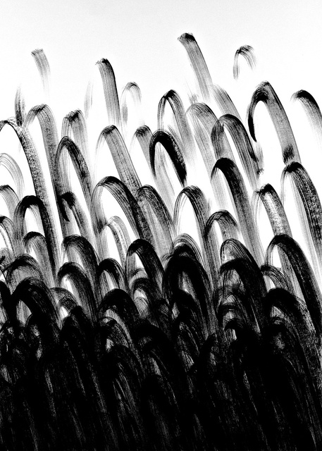 Carbon Black # 7, 2011.