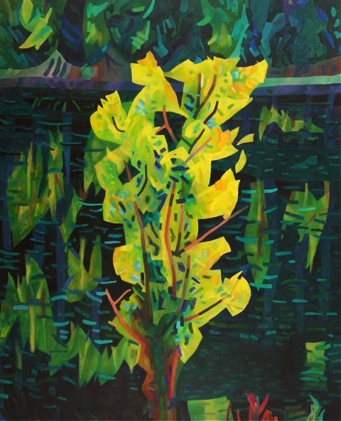 Kootenay River by Rita's