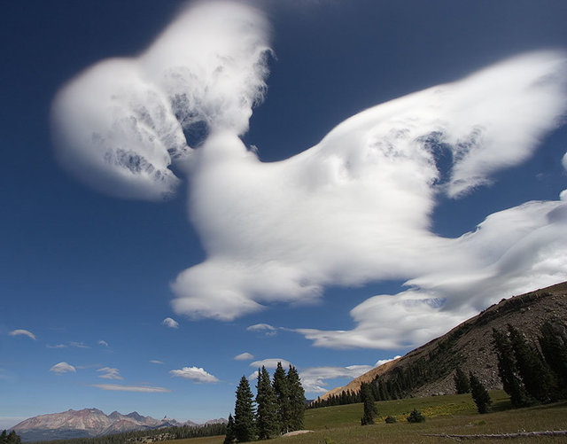 Wave Cloud
