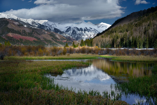 Frog Pond Color