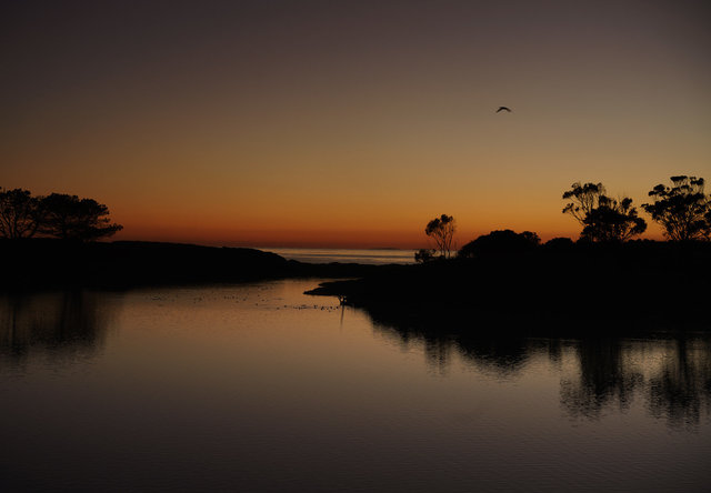 Lagoon