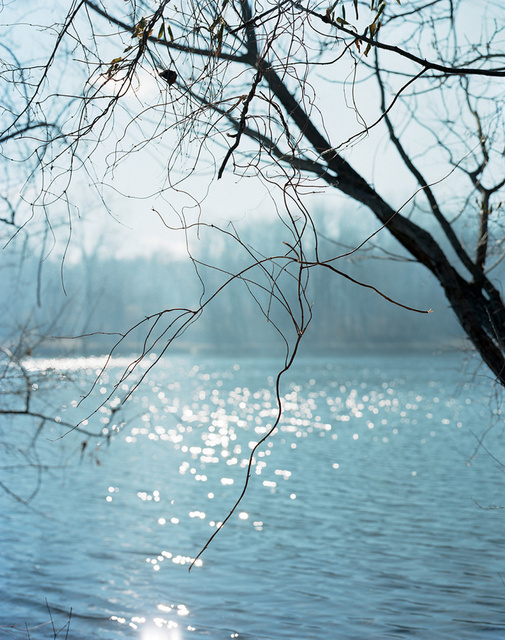 d-mark-hall-hcs-landscape-rv1.jpg