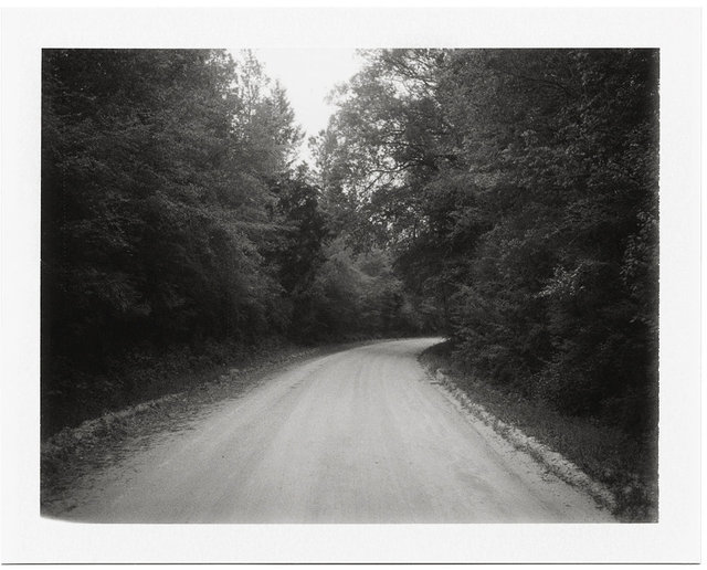 Road to the Lodge, Spring, 2013