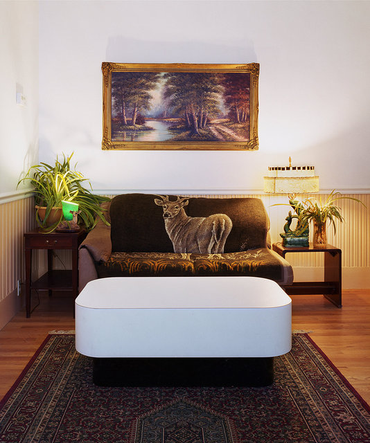 Untitled Interior (deer couch), 2010