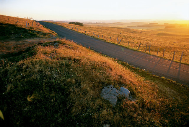 Chemin en Aubrac