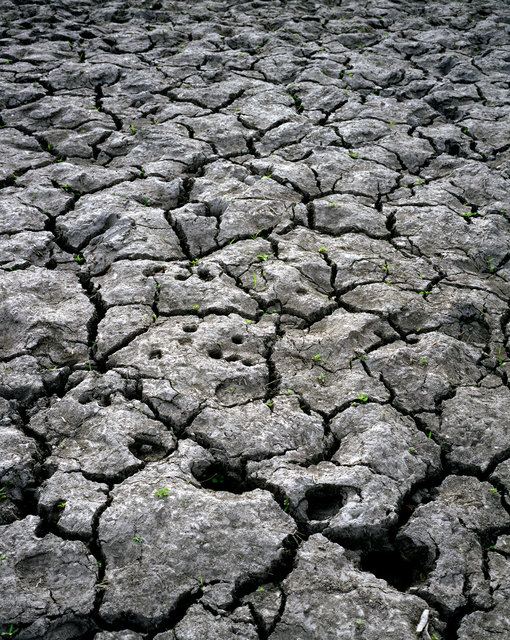 web img429.jpg