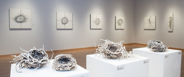 installation view