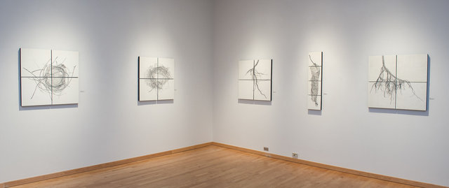 installation view