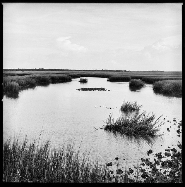 Marsh and Oyster Beds, South End