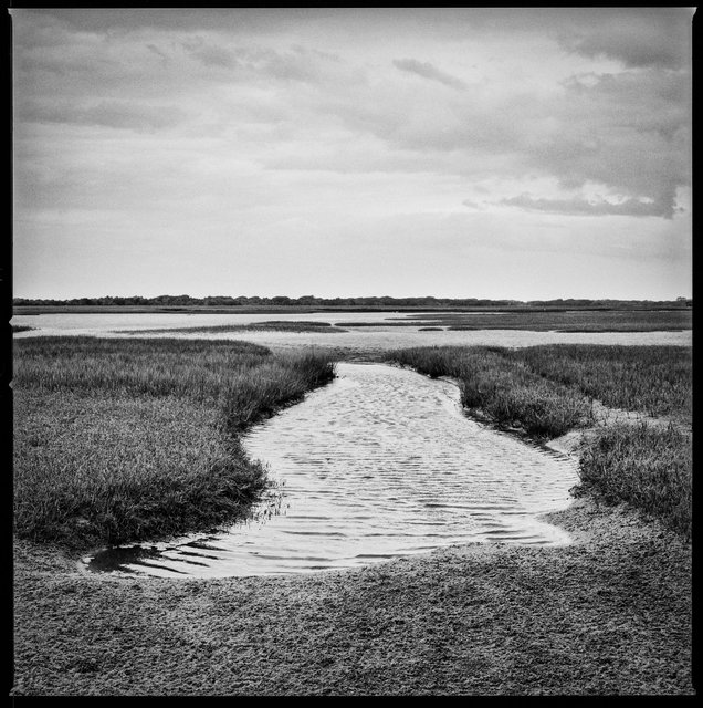 Beach Creek Tidal Ponds, South End