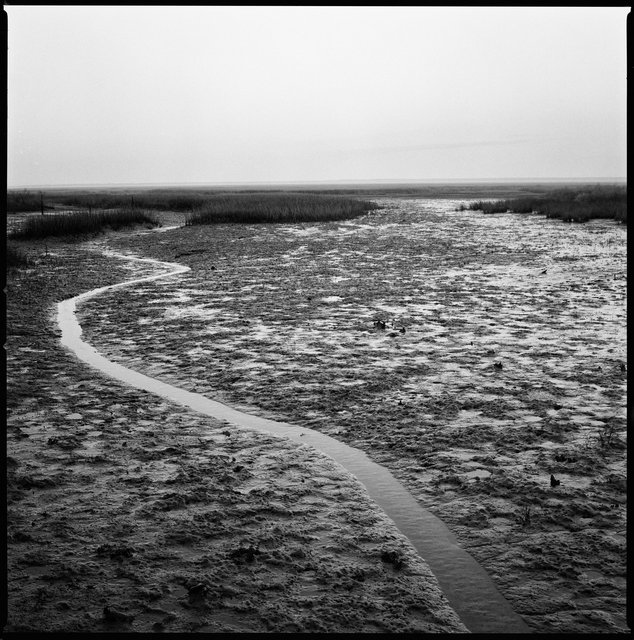 Branch of Malkintooh Creek, Wilderness Area