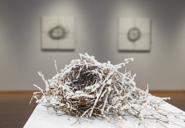 installation view