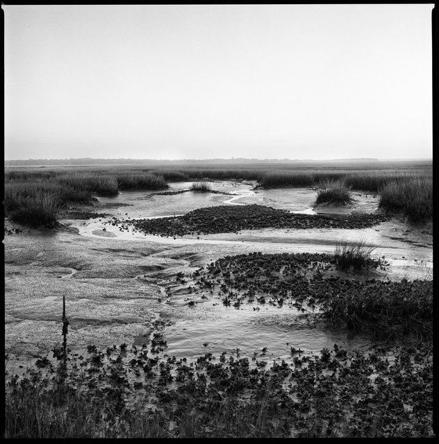 Marsh and Oyster Beds, South End