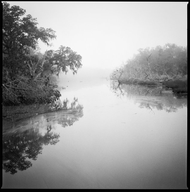 White Branch Tidal Creek, Wilderness Area