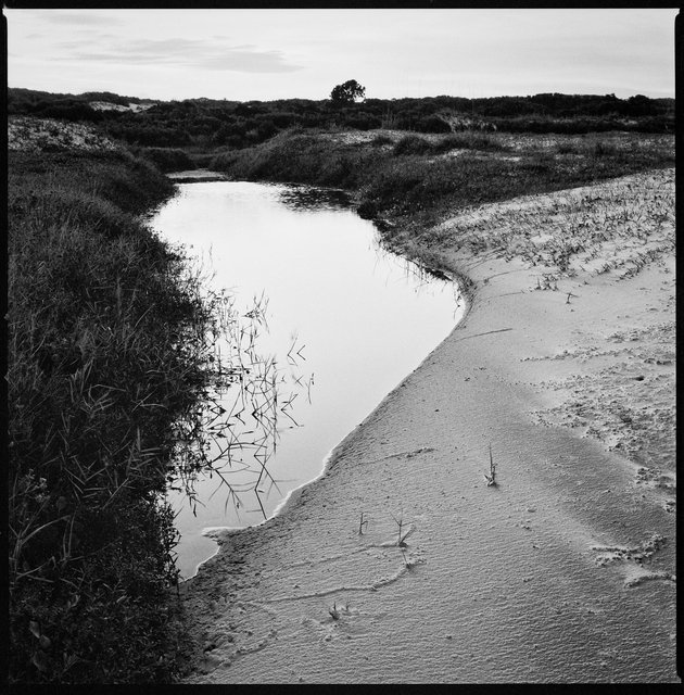 Transition from Beach to Lake Whitney, North End