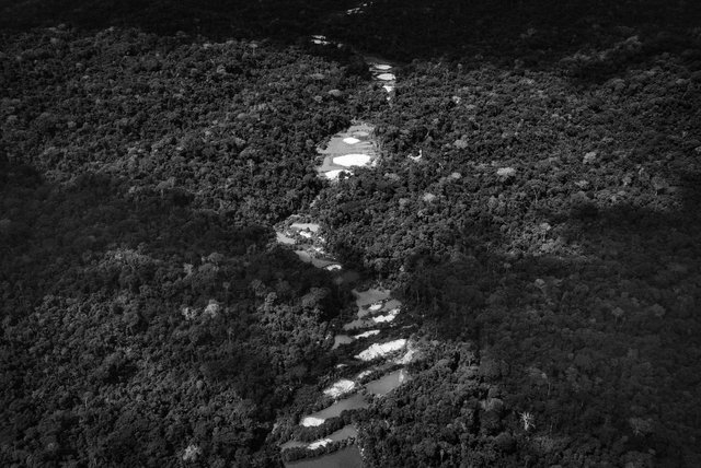 PRT0519CA1001508.jpg