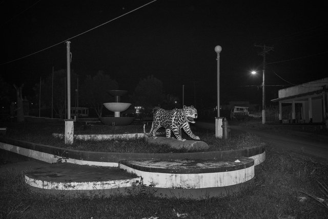 PRT0519CA1002134.jpg