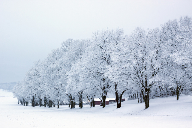 First Snowstorm, Ohio