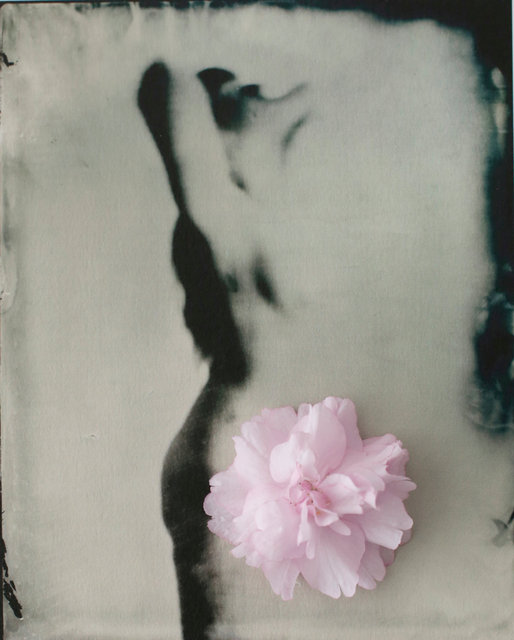 FLOWERS_1_049.JPG