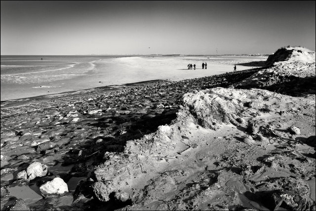 13_MG_5534RAWbw copy.jpg